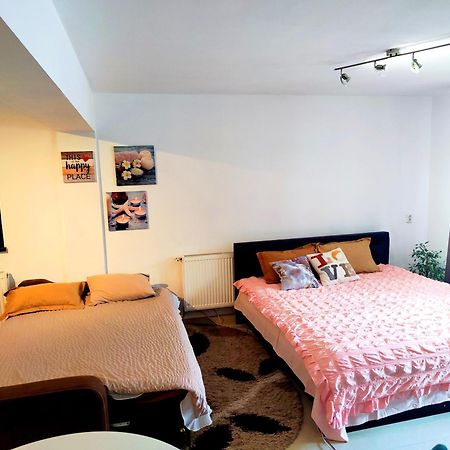 Apartamento Studioul De Vis Braşov Exterior foto