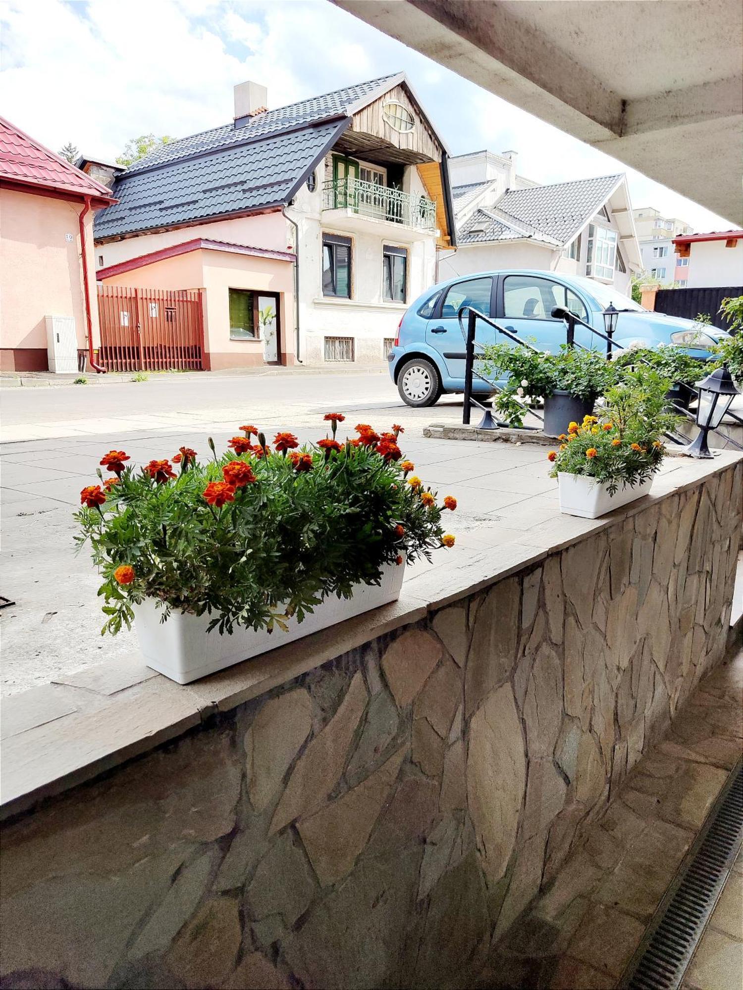 Apartamento Studioul De Vis Braşov Exterior foto