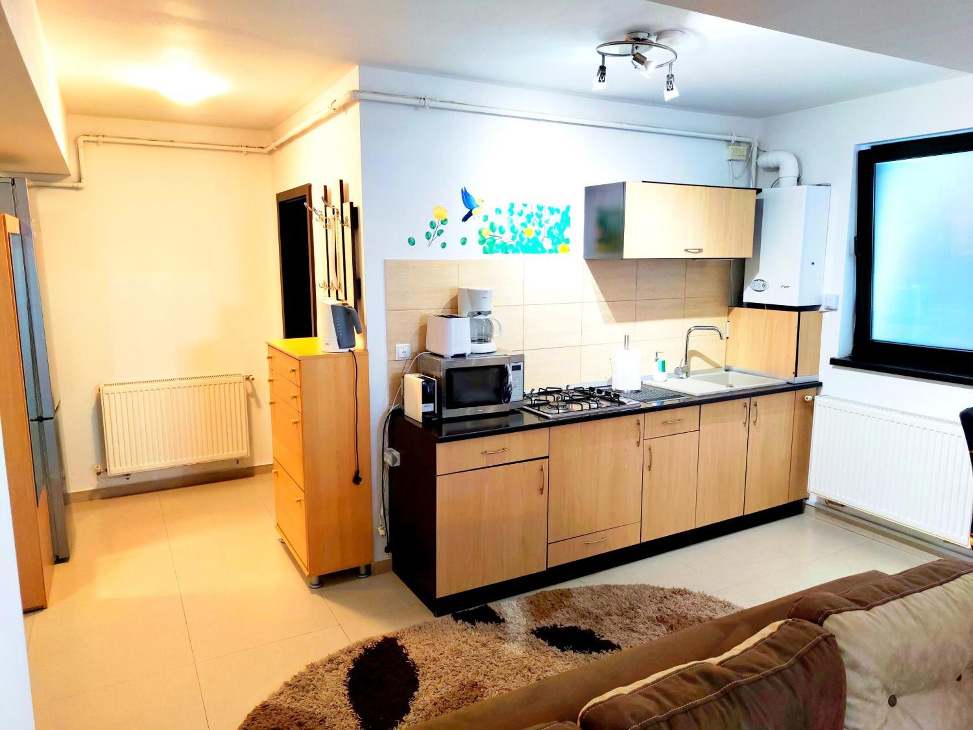 Apartamento Studioul De Vis Braşov Exterior foto