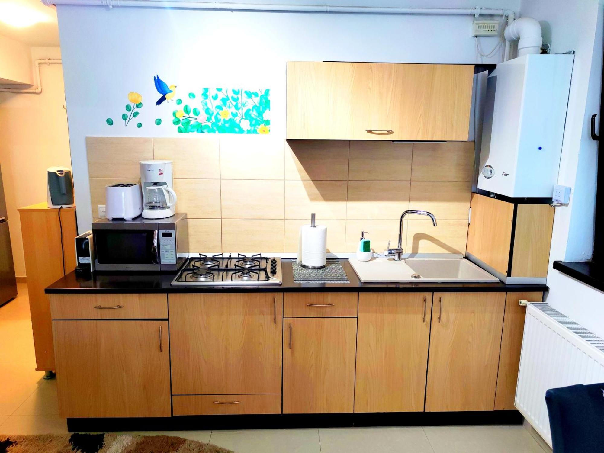 Apartamento Studioul De Vis Braşov Exterior foto