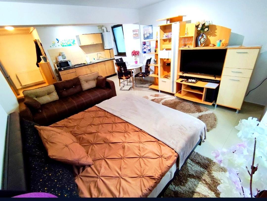 Apartamento Studioul De Vis Braşov Exterior foto